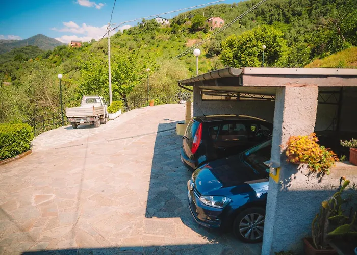 L'ulivo